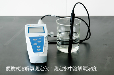便攜式溶解氧測(cè)定儀